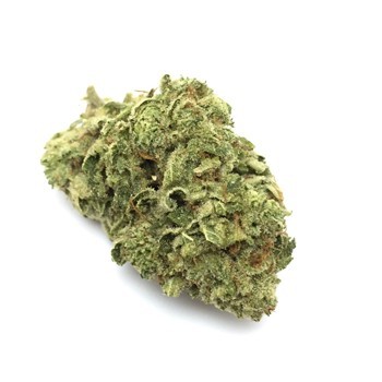 Gorilla Glue #4