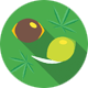 Germinate New Seeds