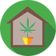 Germinate New Seeds