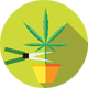Harvest Our Cannabis